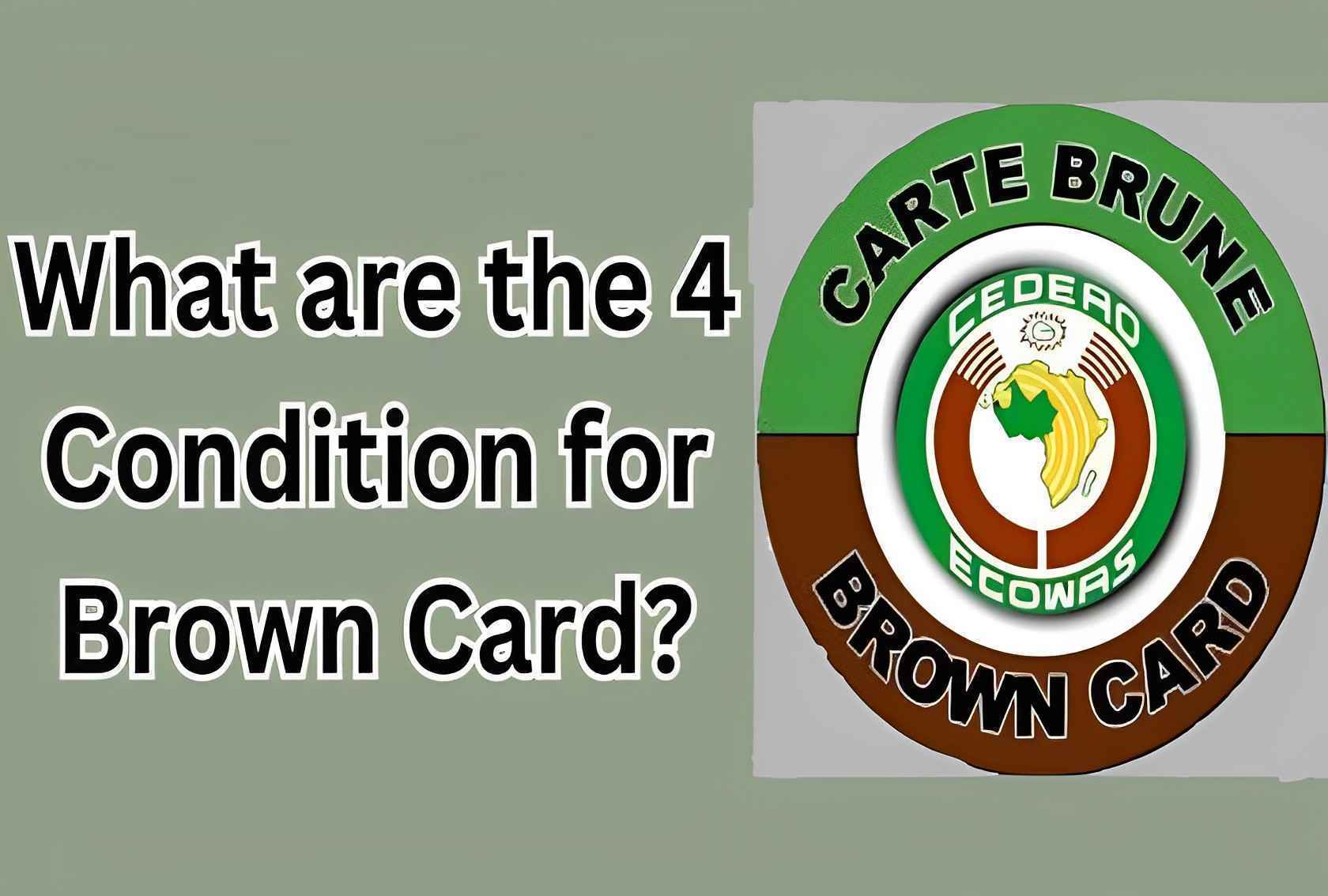 What are the 4 Condition for Brown Card? - PiggyBank