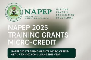 NAPEP Training and Grant